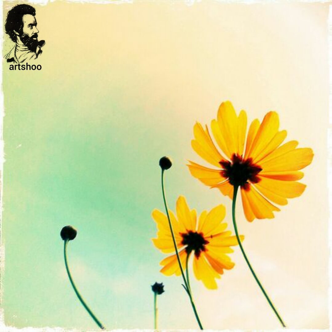 آموزش نقاشی رنگ روغن